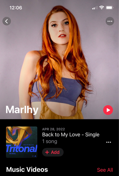 apple UI